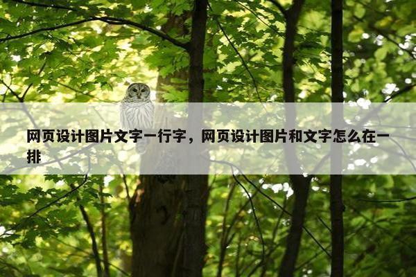 网页设计图片文字一行字，网页设计图片和文字怎么在一排