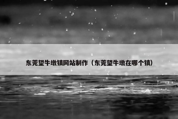 东莞望牛墩镇网站制作（东莞望牛墩在哪个镇）