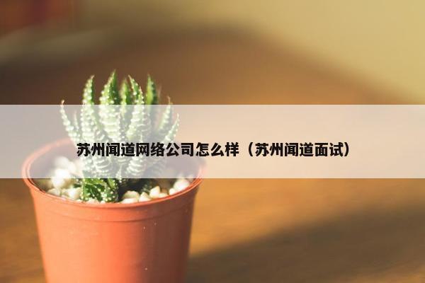 苏州闻道网络公司怎么样（苏州闻道面试）