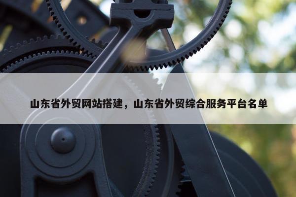 山东省外贸网站搭建，山东省外贸综合服务平台名单