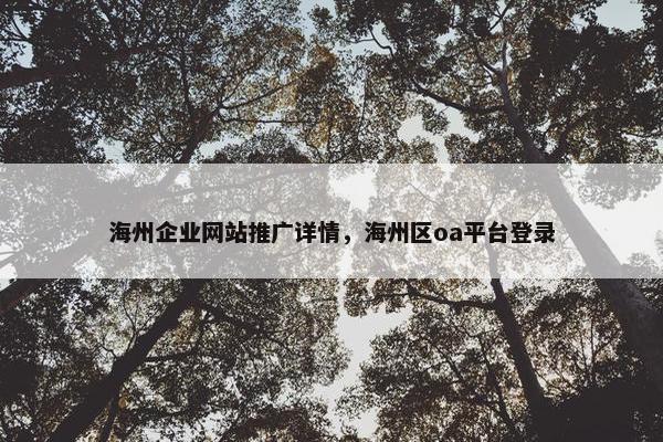 海州企业网站推广详情，海州区oa平台登录
