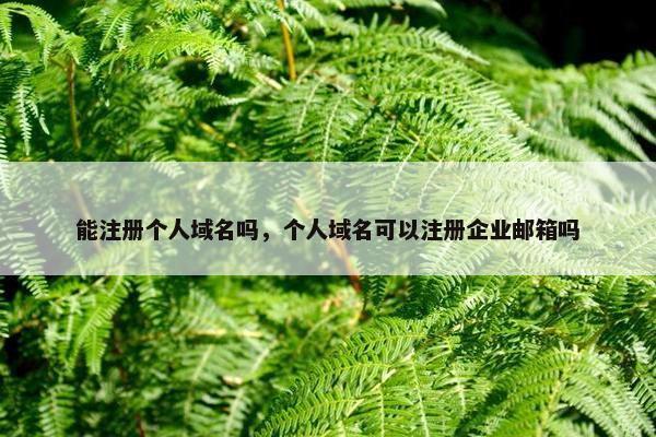 能注册个人域名吗，个人域名可以注册企业邮箱吗