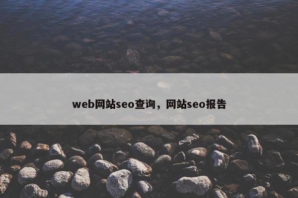 web网站seo查询，网站seo报告