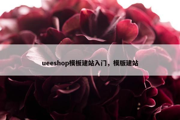 ueeshop模板建站入门，模版建站