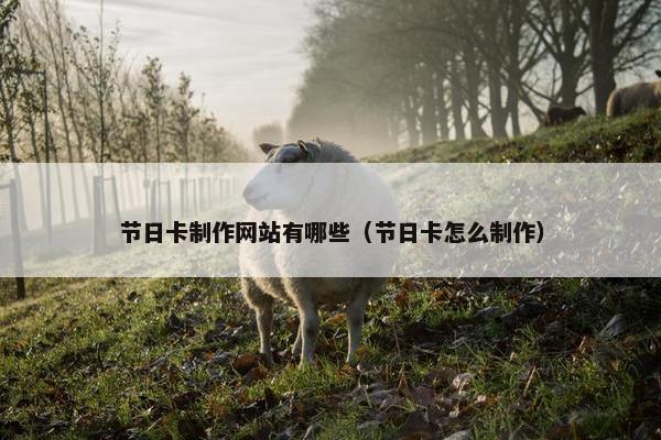 节日卡制作网站有哪些（节日卡怎么制作）