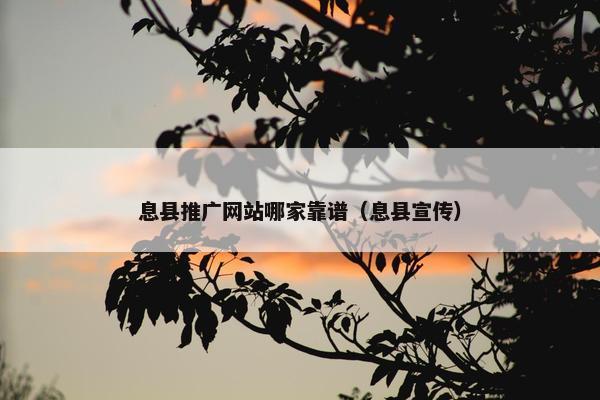 息县推广网站哪家靠谱（息县宣传）