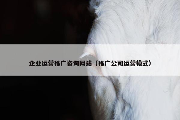 企业运营推广咨询网站（推广公司运营模式）