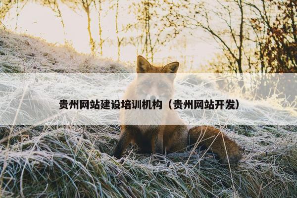 贵州网站建设培训机构（贵州网站开发）