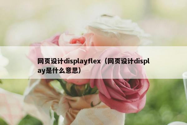 网页设计displayflex（网页设计display是什么意思）