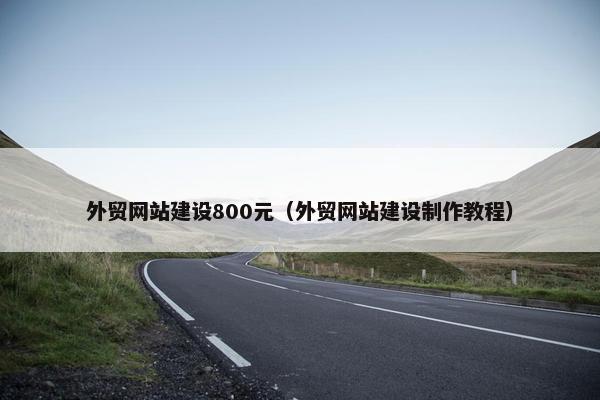 外贸网站建设800元（外贸网站建设制作教程）
