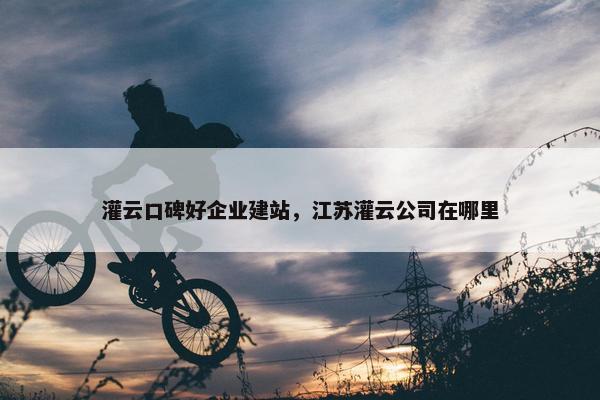 灌云口碑好企业建站，江苏灌云公司在哪里
