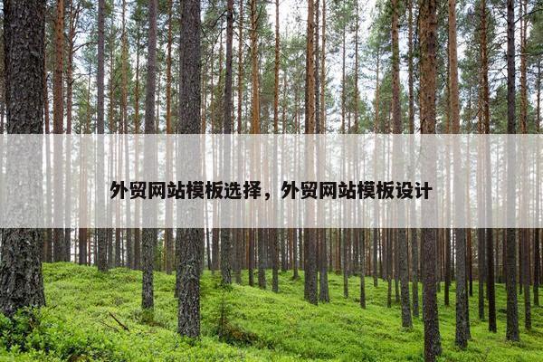 外贸网站模板选择，外贸网站模板设计