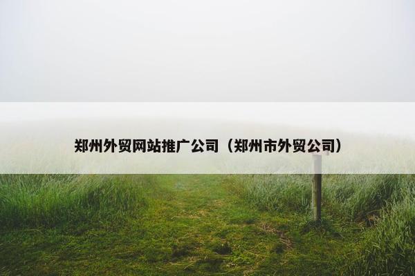 郑州外贸网站推广公司（郑州市外贸公司）