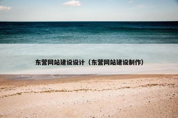 东营网站建设设计（东营网站建设制作）