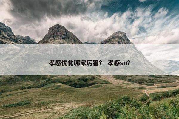 孝感优化哪家厉害？ 孝感sn？