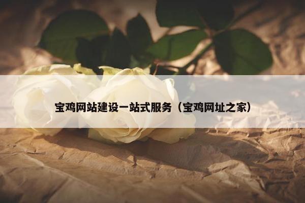 宝鸡网站建设一站式服务（宝鸡网址之家）