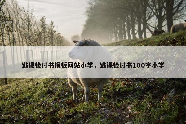 逃课检讨书模板网站小学，逃课检讨书100字小学