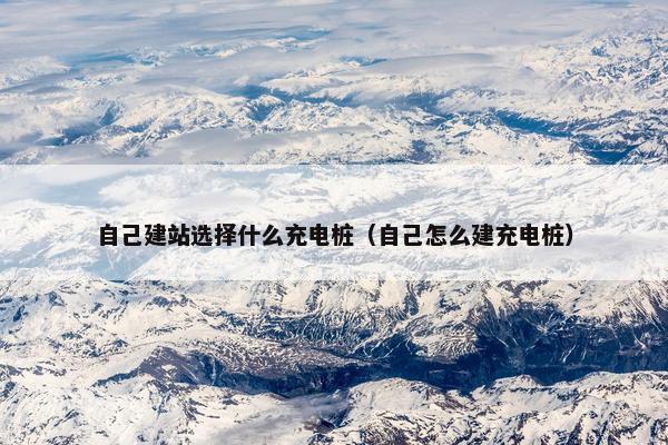 自己建站选择什么充电桩（自己怎么建充电桩）