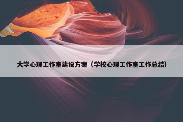 大学心理工作室建设方案（学校心理工作室工作总结）