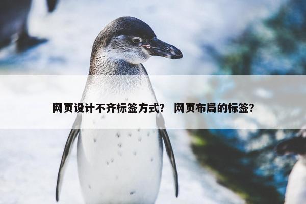 网页设计不齐标签方式？ 网页布局的标签？