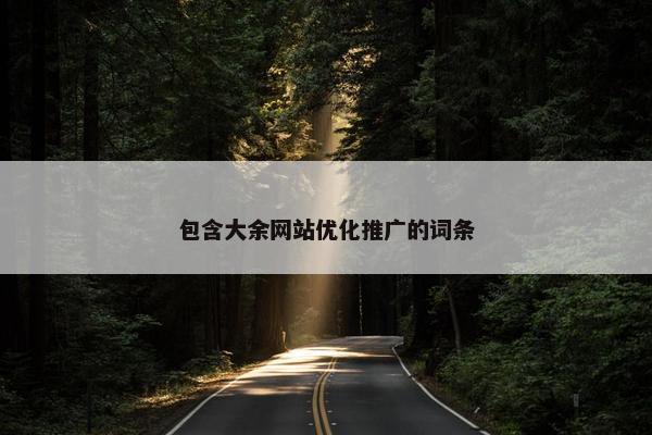 包含大余网站优化推广的词条