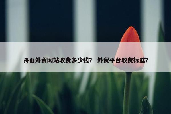 舟山外贸网站收费多少钱？ 外贸平台收费标准？
