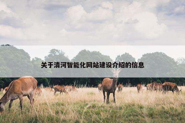 关于清河智能化网站建设介绍的信息