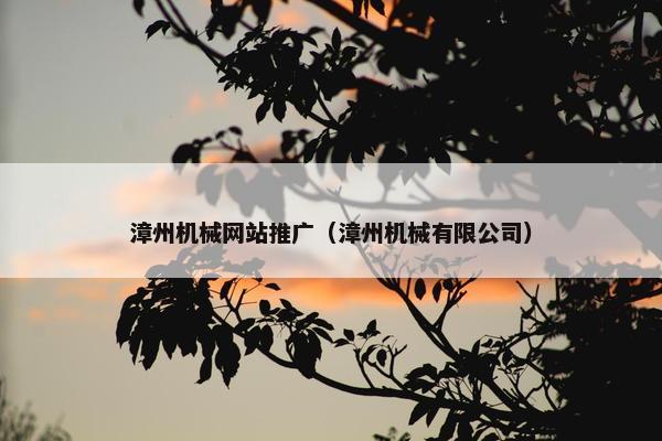 漳州机械网站推广（漳州机械有限公司）