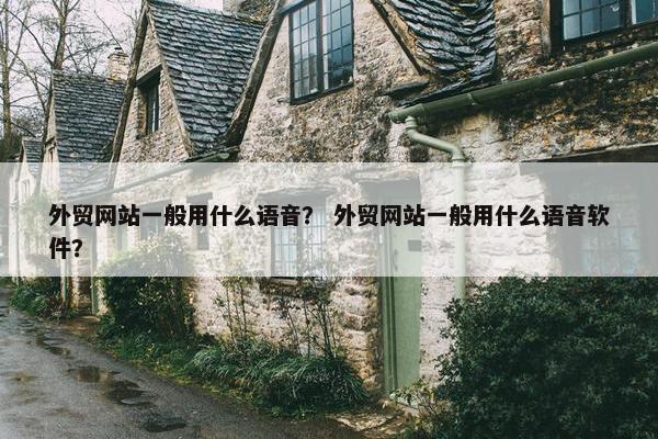 外贸网站一般用什么语音？ 外贸网站一般用什么语音软件？