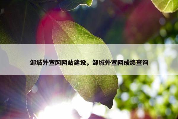 邹城外宣网网站建设，邹城外宣网成绩查询