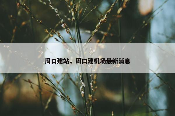 周口建站，周口建机场最新消息
