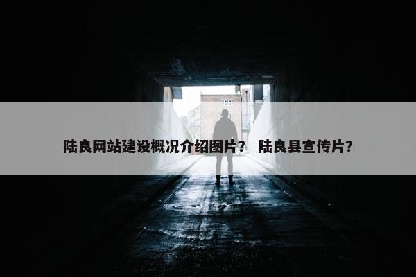 陆良网站建设概况介绍图片？ 陆良县宣传片？