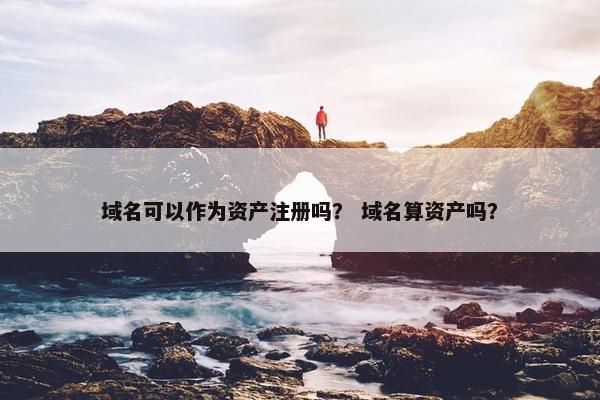 域名可以作为资产注册吗？ 域名算资产吗？