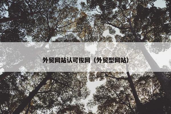 外贸网站认可俊网（外贸型网站）