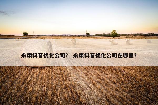 永康抖音优化公司？ 永康抖音优化公司在哪里？