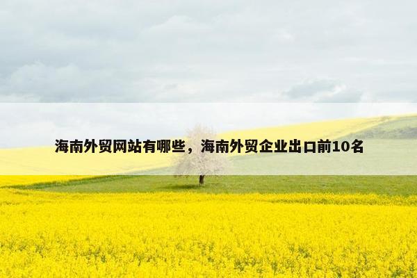 海南外贸网站有哪些，海南外贸企业出口前10名