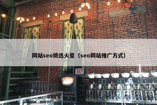 网站seo挑选火星（seo网站推广方式）
