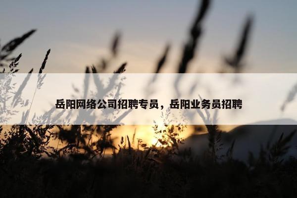 岳阳网络公司招聘专员，岳阳业务员招聘