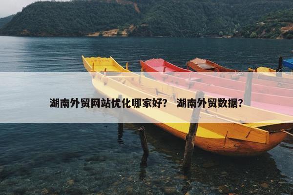 湖南外贸网站优化哪家好？ 湖南外贸数据？