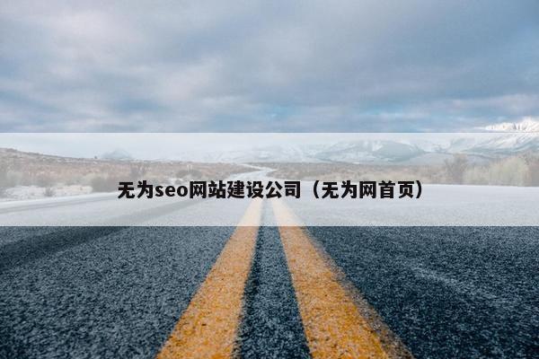 无为seo网站建设公司（无为网首页）