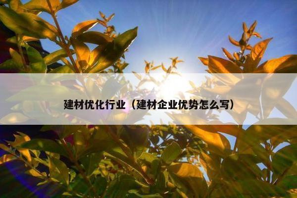 建材优化行业（建材企业优势怎么写）