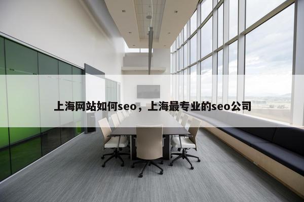 上海网站如何seo，上海最专业的seo公司