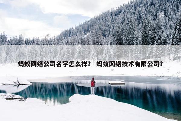 蚂蚁网络公司名字怎么样？ 蚂蚁网络技术有限公司？