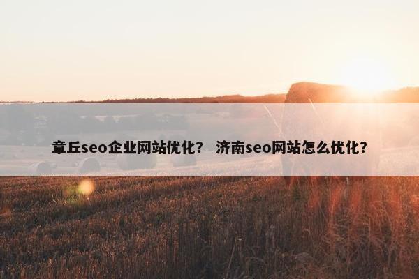 章丘seo企业网站优化？ 济南seo网站怎么优化？