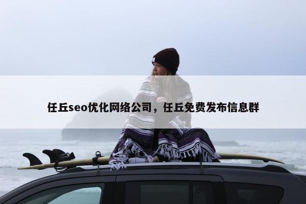 任丘seo优化网络公司，任丘免费发布信息群