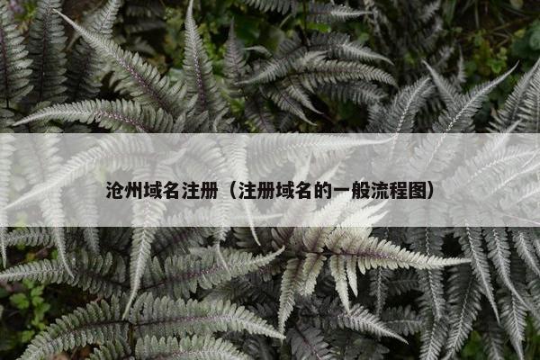 沧州域名注册（注册域名的一般流程图）