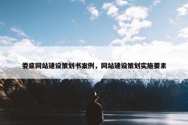 娄底网站建设策划书案例，网站建设策划实施要素