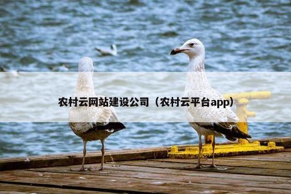 农村云网站建设公司（农村云平台app）
