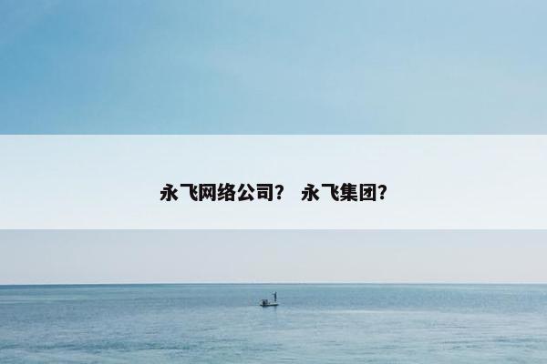 永飞网络公司？ 永飞集团？