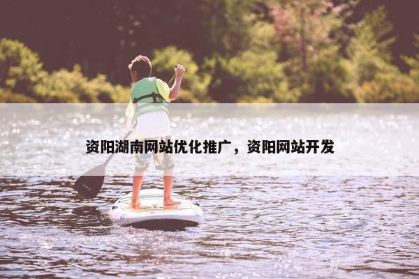 资阳湖南网站优化推广，资阳网站开发